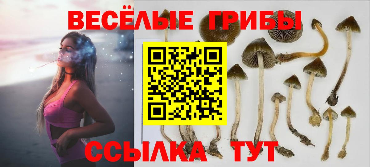 Галлюциногенные грибы прущие грибы  Вход с VPN  Красноармейск  Псилоцибиновые грибы прущие грибы 